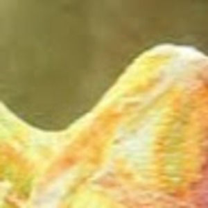 Meet your Posher, Maeve